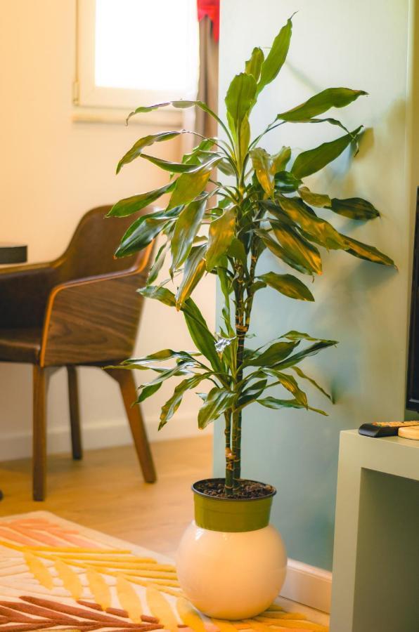 Bright Apartment Close To City Center 地拉那 外观 照片
